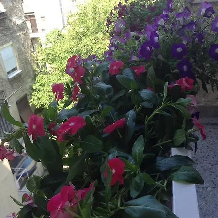 Bohemian Rhapsody Апартаменты Белград